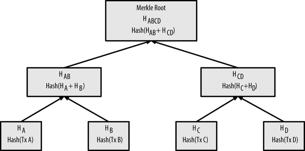 merkle tree بیت کوین چیست