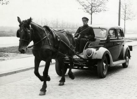 a horse pulling a car