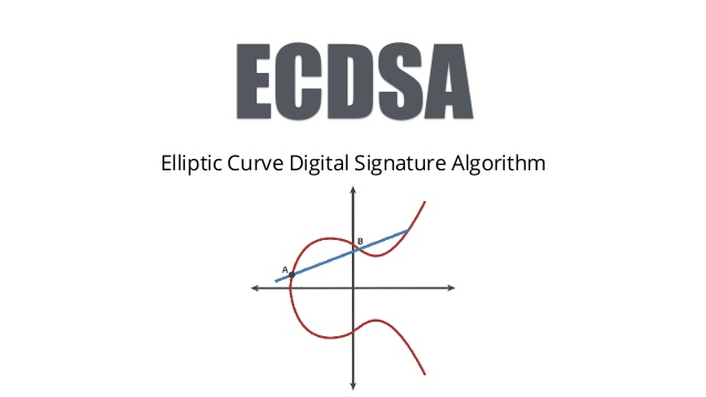 کلید عمومی کلید خصوصی الگوریتم امضای دیجیتال منحنی بیضوی ecdsa