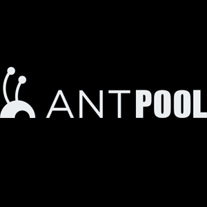 
											AntPool