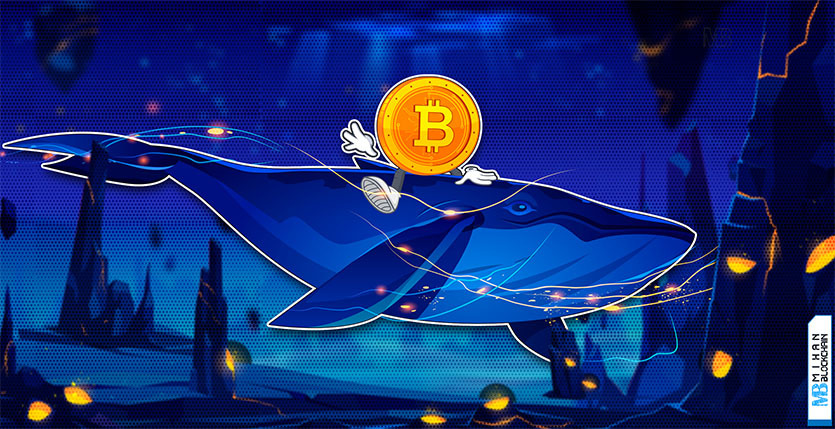 روند صعودی قیمت بیت کوین