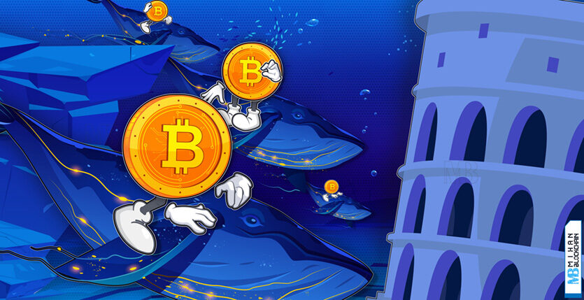 نهنگ‌های بیت کوین Bitcoin Whale نهنگ BTC