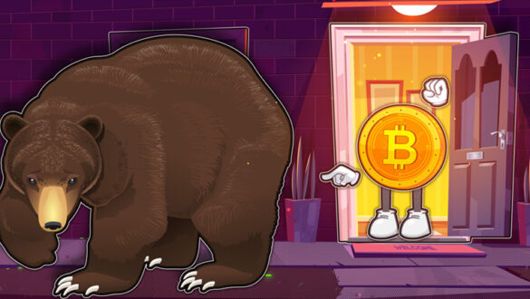 پایان بازار خرسی بیت کوین بازار گاوی بیت کوین در راه است Bitcoin bear market is over