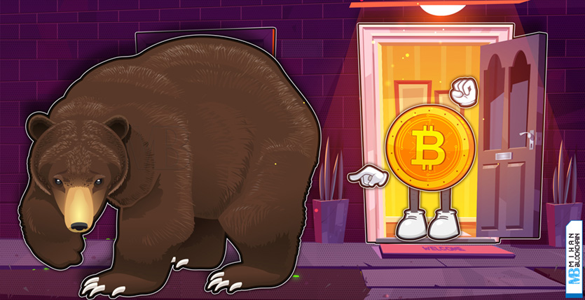 پایان بازار خرسی بیت کوین بازار گاوی بیت کوین در راه است Bitcoin bear market is over