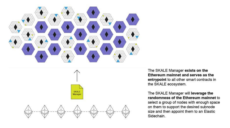 ساختار شبکه Skale