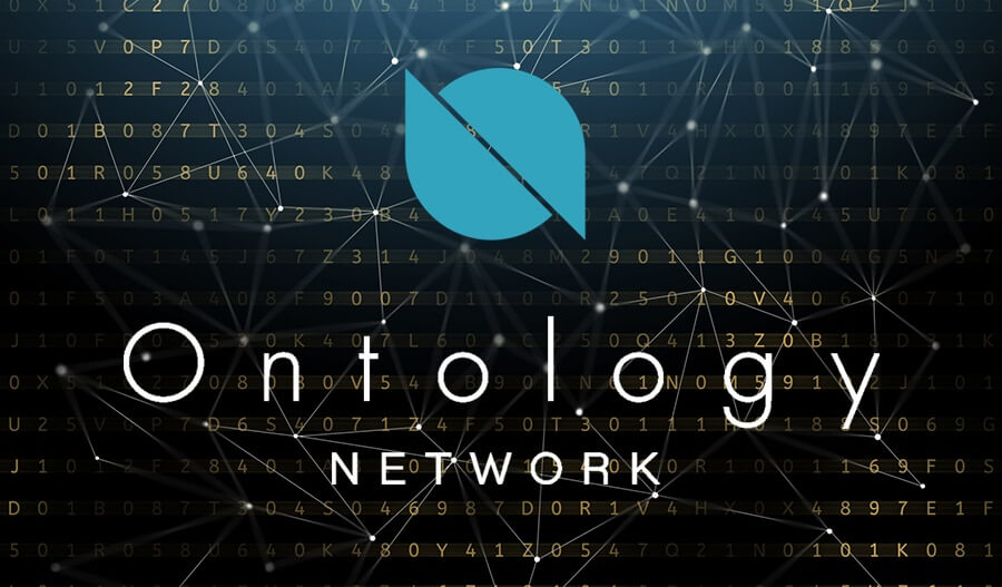شبکه آنتولوژی چیست؟