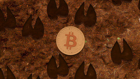 روند گاوی بازار بیت کوین Bitcoin Bull run