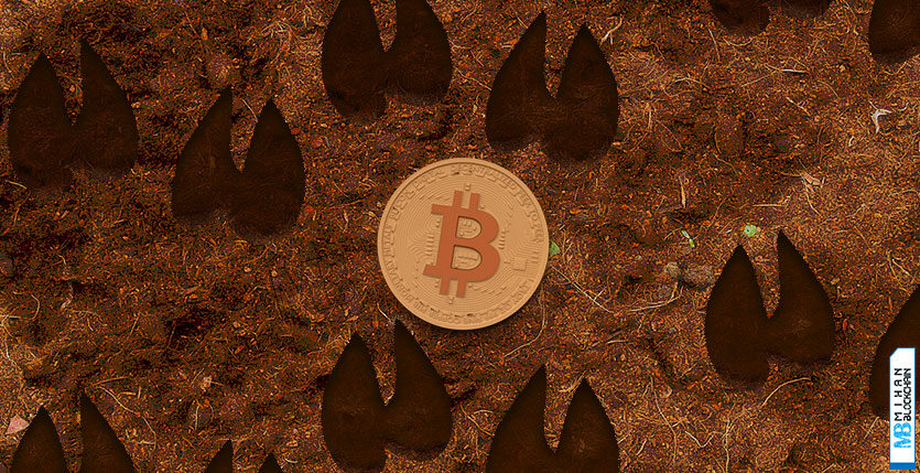 روند گاوی بازار بیت کوین Bitcoin Bull run