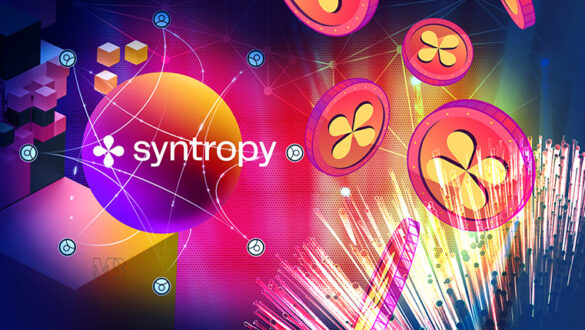 شبکه Syntropy چیست - توکن noia - توکن سینتروپی چیست