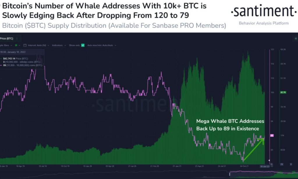 نمودار تعداد نهنگ‌های بیت کوین با موجودی بیش از ۱۰٬۰۰۰ BTC