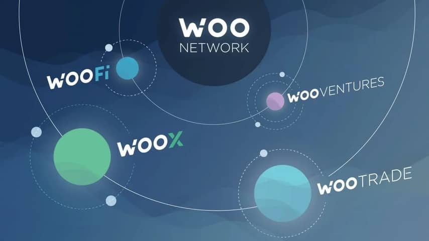 شبکه وو (woo network)‌ چیست