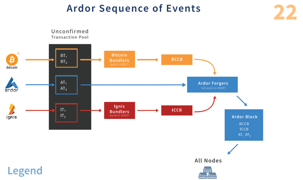 شبکه Ardor چگونه کار می‌