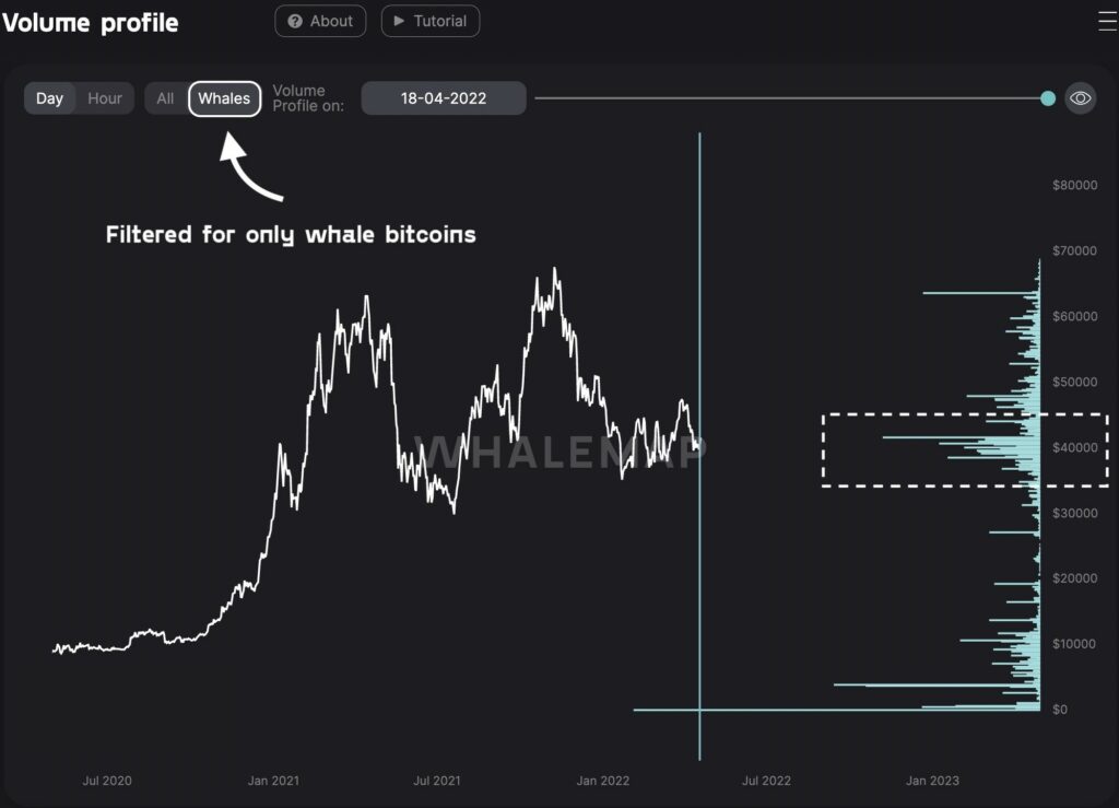 نمودار دارایی نهنگ‌های بیت کوین