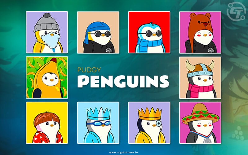 کلکسیون Pudgy Penguins چیست