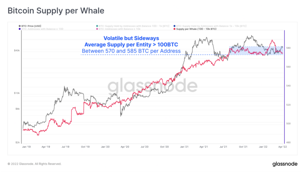میانگین حجم معاملات آدرس‌های نهنگ‌ها