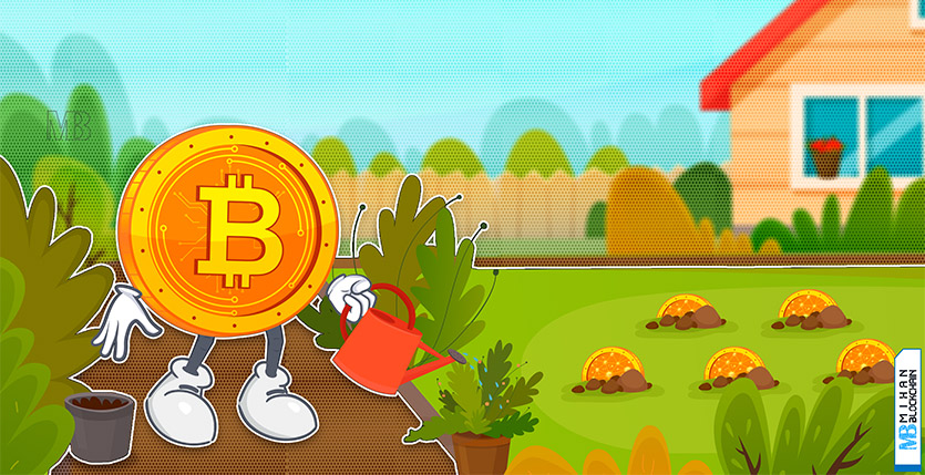 Altcoin در مقابل بیت کوین