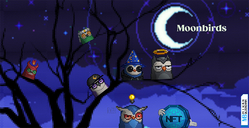 کالکشن MoonBirds چیست