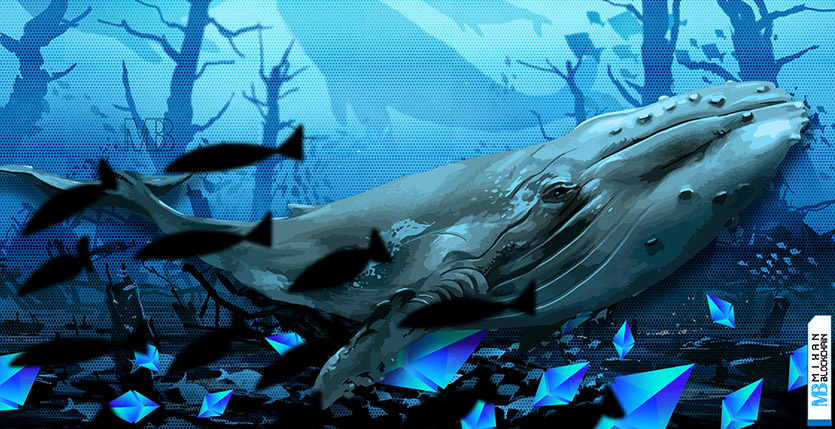 نهنگ‌ها در حال انباشت اتریوم ETH ethereum whales