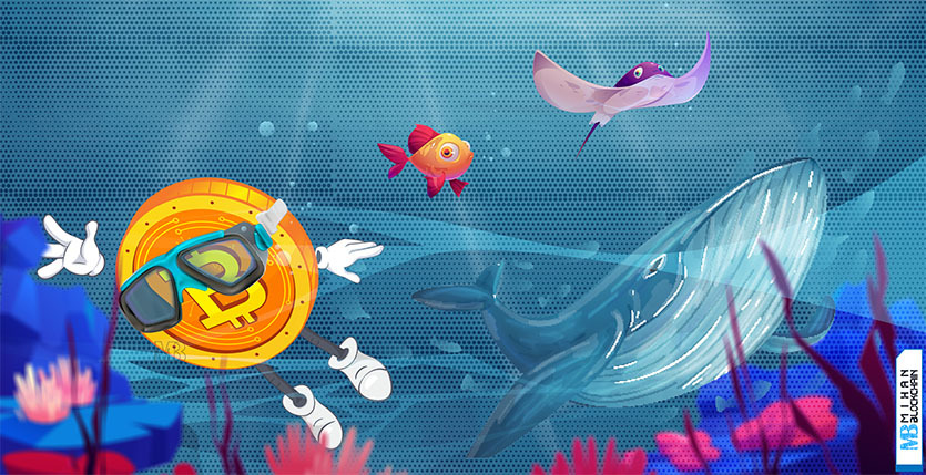فیچر رفتار هولدرهای مختلف بیت کوین چگونه است Bitcoin Whales and Shrimps