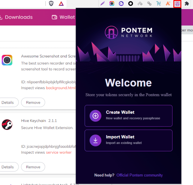 Download and install the pontem wallet