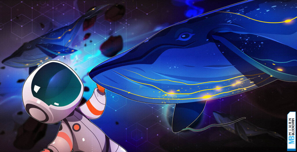 معرفی ابزارهای ردیابی نهنگ ارز دیجیتال