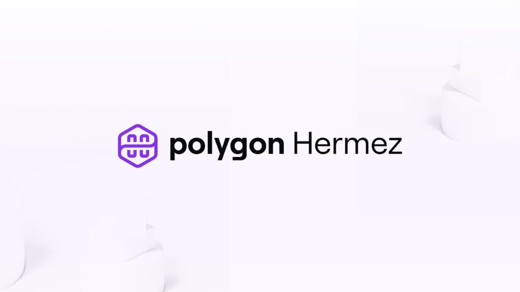 پروژه Polygon Hermez