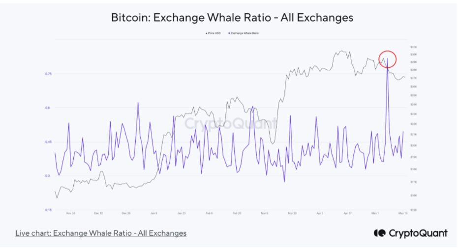 نمودار شاخص نسبت نهنگ‌ها در صرافی‌ها - منبع: CryptoQuant