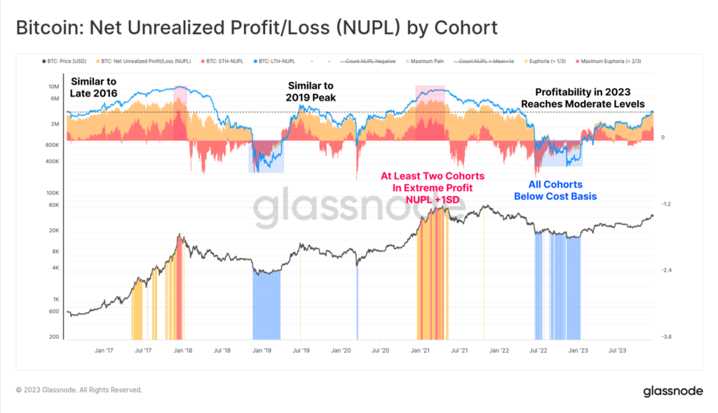شاخص NUPL گروه‌های مختلف سرمایه‌گذاران - منبع: Glassnode