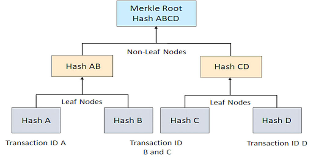 بررسی ساختار Merkle Tree