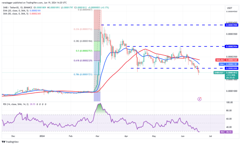 نمودار 1 روزه تایم فریم شیبا اینو - منبع: TradingView