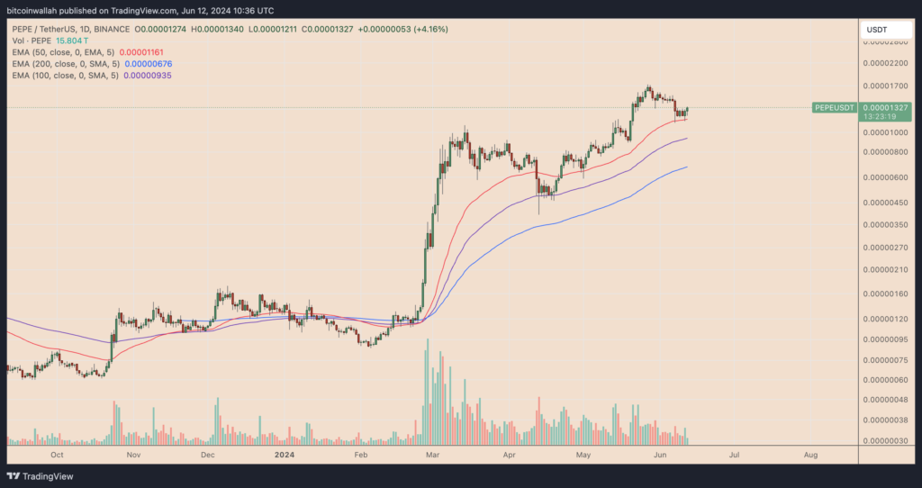 نمودار پپه تایم فریم ۱ روزه - منبع: TradingView