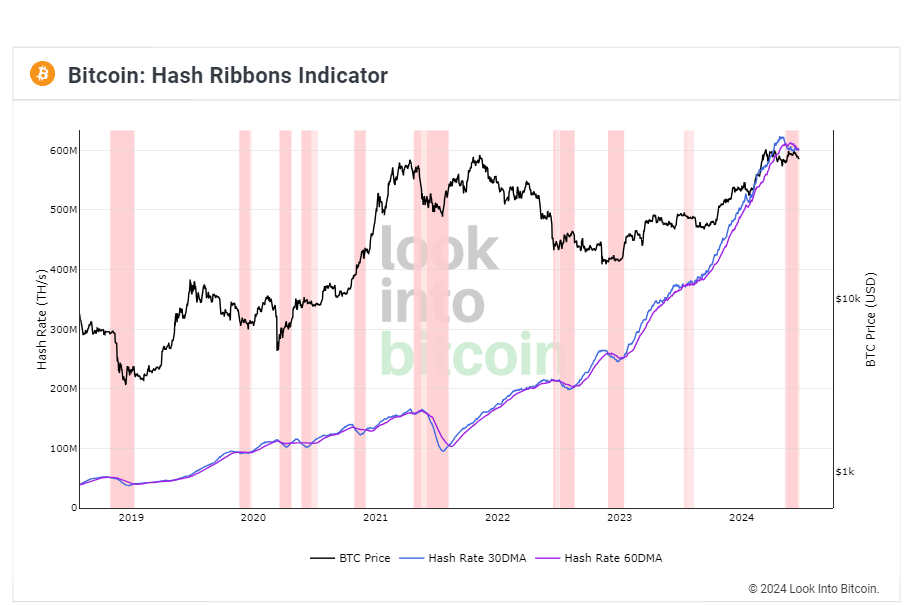 شاخص روبان‌های هش - منبع: Look Into Bitcoin