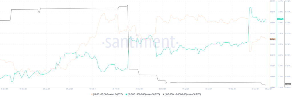 موجودی بیت کوین توزیعی بین نهنگ‌ها - منبع: سنتیمنت