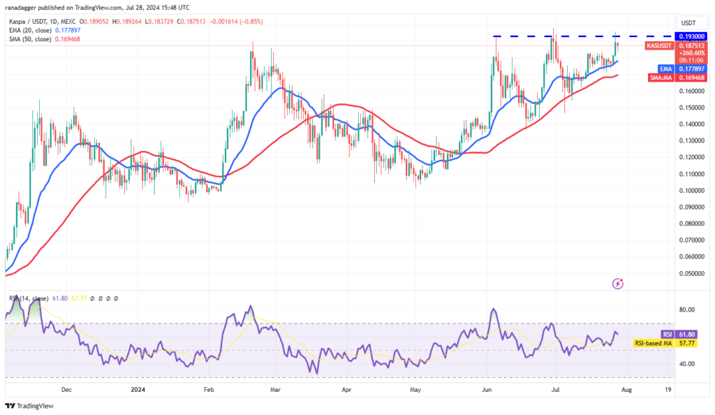 نمودار کاسپا تایم فریم ۱ روزه - منبع: TradingView