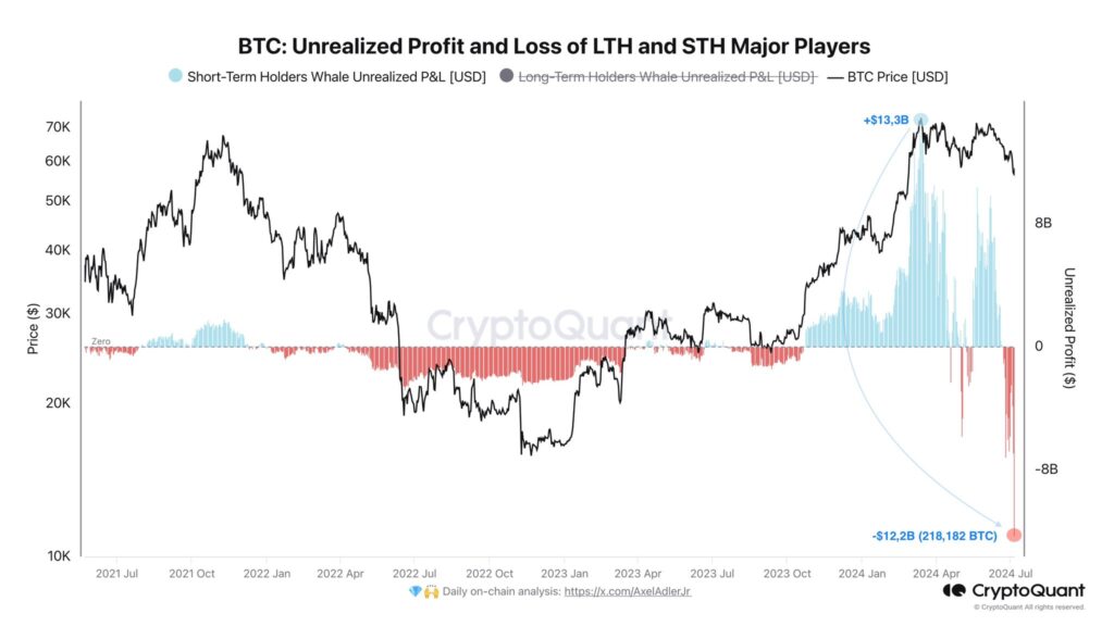 سود و زیان تحقق یافته نهنگ‌های کوتاه‌مدت و بلندمدت بیت کوین - منبع: CryptoQuant