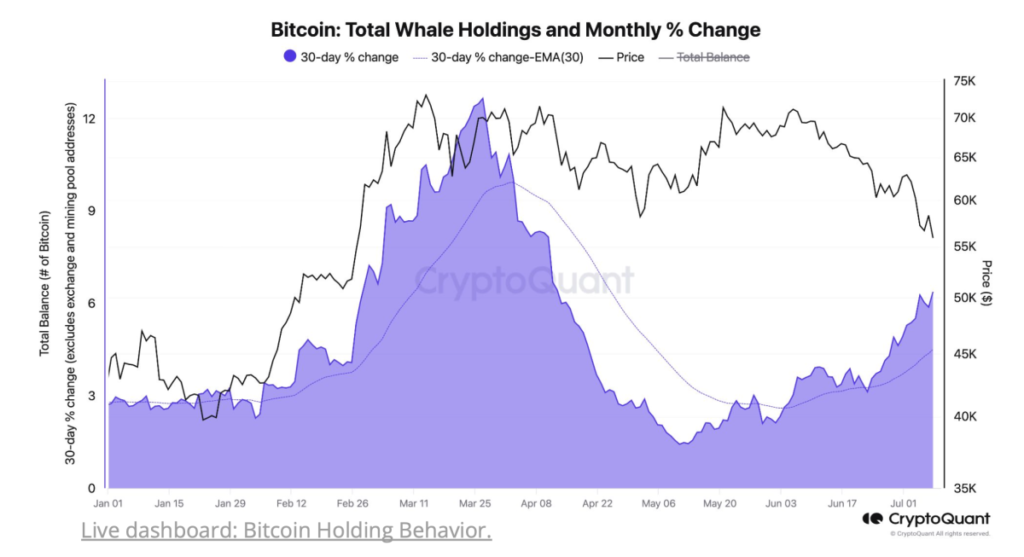 سرعت انباشت نهنگ‌های بیت کوین - منبع: CryptoQuant