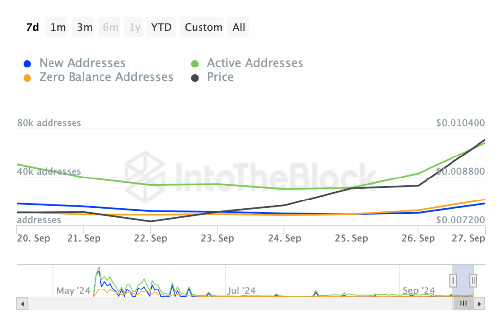 فعالیت آنچین نات کوین - منبع: IntoTheBlock