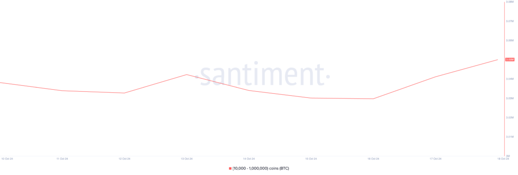 میزان دارایی نهنگ‌های بیت کوین - منبع: Santiment