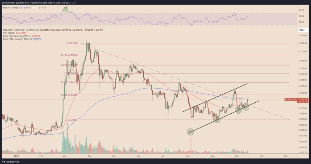 نمودار روزانه قیمت DOGE - منبع: TradingView