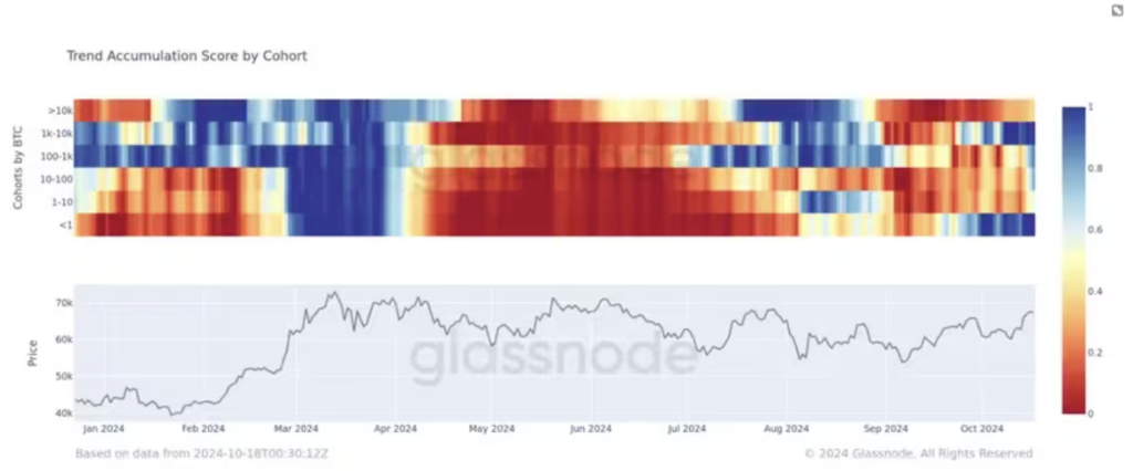 روند انباشت بیت کوین توسط گروه‌های مرتبط - منبع: Glassnode