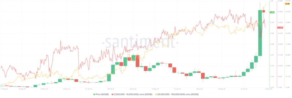 نمودار تعداد هولدرهای بزرک DOGE - منبع: Santiment