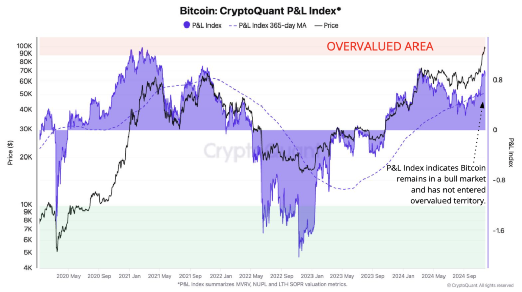 نمودار شاخص P&L در بیت کوین - منبع: CryptoQuant