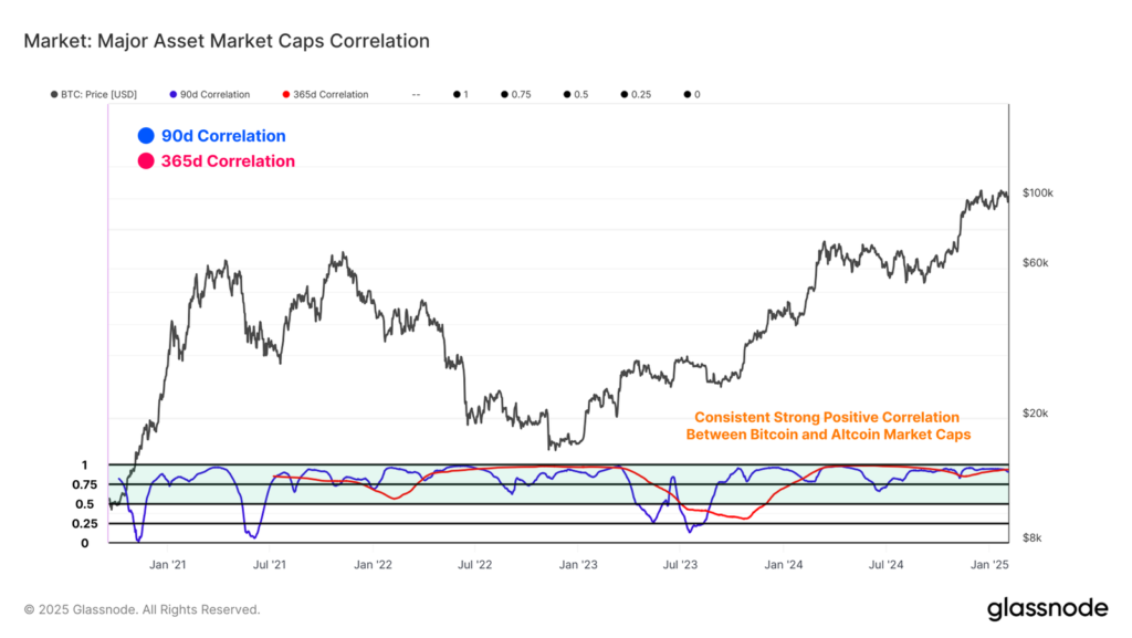 همبستگی مارکت کپ دارایی‌های اصلی - منبع:‌Glassnode 