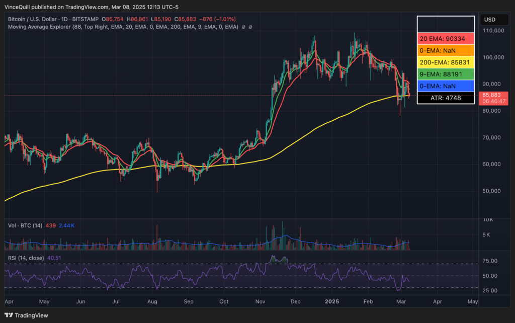 عملکرد قیمت بیت کوین - منبع: TradingView