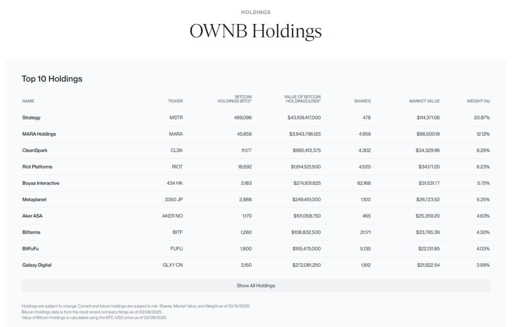 هولدینگ‌های OWNB - منبع: بیت وایز