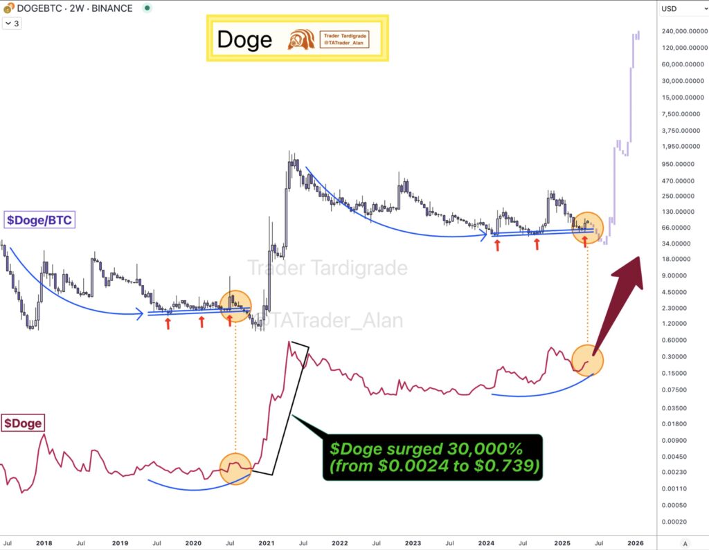 نمودار DOGE/BTC - منبع: Trader Tardigrade/X