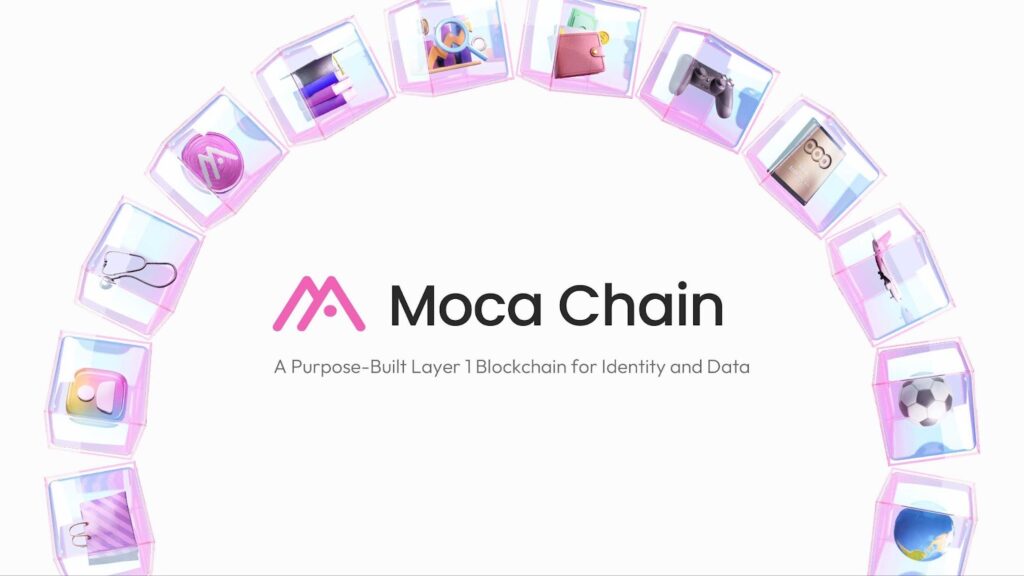 منبع: Moca Foundation