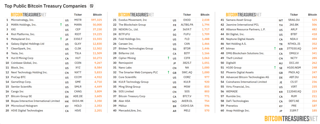 فهرست شرکت‌های هولدر بیت کوین - منبع: BitcoinTreasuries.NET