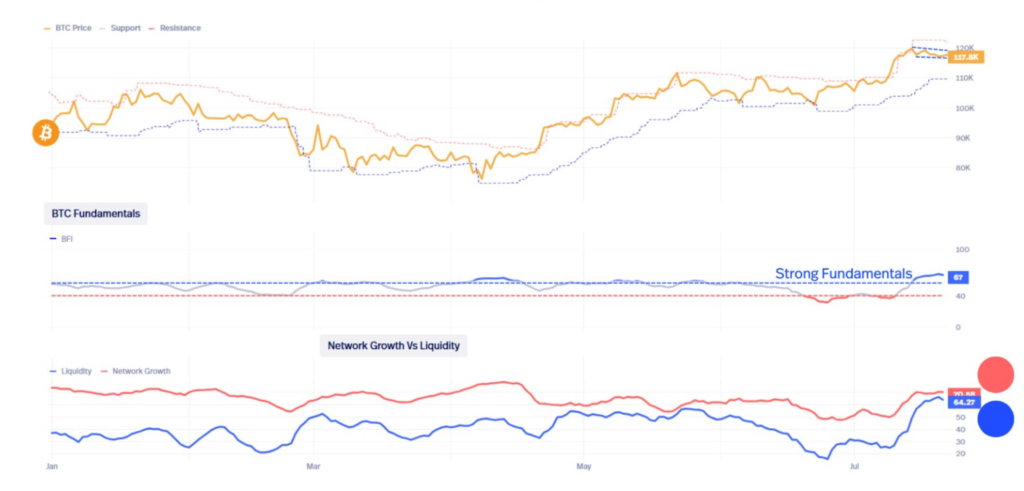 نمودار فاندامنتال‌های بیت کوین - منبع: Bitcoin Vector