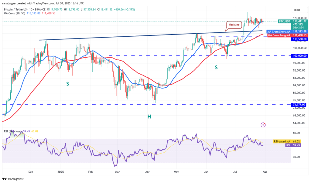 نمودار بیت کوین تایم فریم ۱ روزه - منبع: TradingView